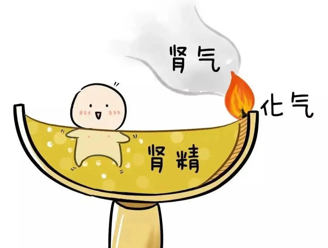 腰膝酸软