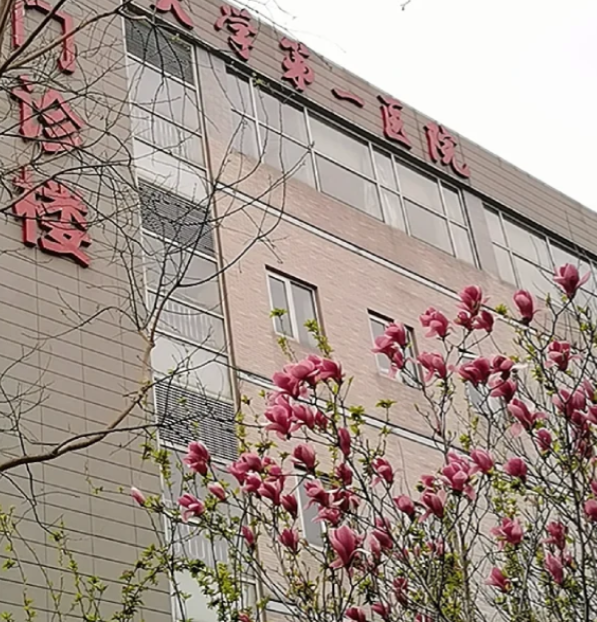 首都医科大学宣武医院